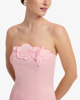 RAYNA APPLIQUÉ BUSTIER MAXI DRESS