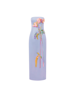 RAYNA EMBROIDERED BUSTIER MAXI DRESS