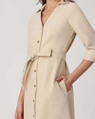 RAINE DRESS