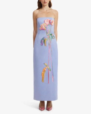 RAYNA EMBROIDERED BUSTIER MAXI DRESS