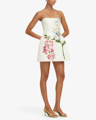 ROSELLE EMBROIDERED BUSTIER MINI DRESS