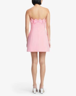 ROSELLE APPLIQUÉ BUSTIER MINI DRESS