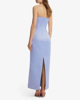 RAYNA EMBROIDERED BUSTIER MAXI DRESS