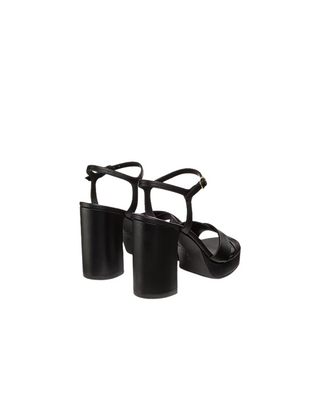DAYNA PLATFORM