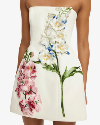 ROSELLE EMBROIDERED BUSTIER MINI DRESS