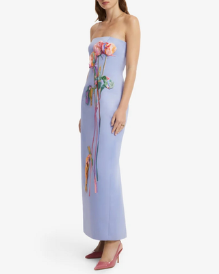 RAYNA EMBROIDERED BUSTIER MAXI DRESS