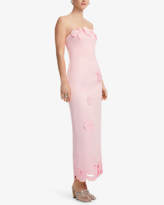 RAYNA APPLIQUÉ BUSTIER MAXI DRESS