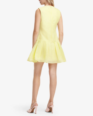 PETRA APPLIQUE MINI DRESS