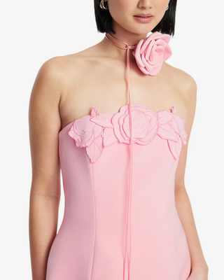 ROSELLE APPLIQUÉ BUSTIER MINI DRESS