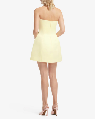ROSELLE APPLIQUE BUSTIER MINI DRESS