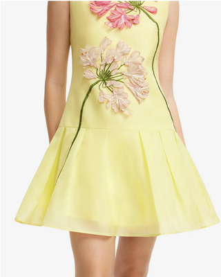 PETRA APPLIQUE MINI DRESS