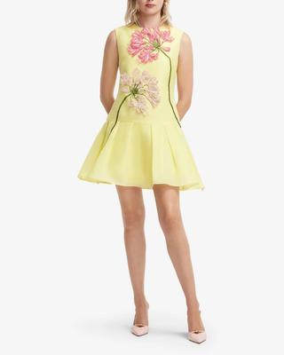 PETRA APPLIQUE MINI DRESS