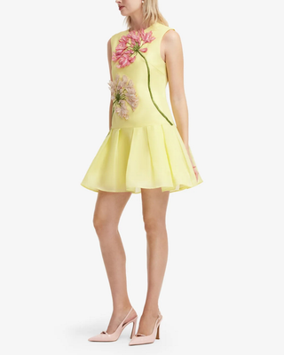 PETRA APPLIQUE MINI DRESS
