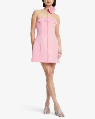 ROSELLE APPLIQUÉ BUSTIER MINI DRESS