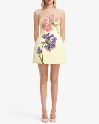 ROSELLE APPLIQUE BUSTIER MINI DRESS