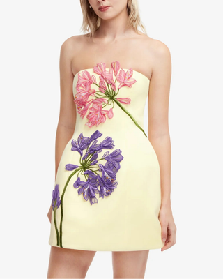 ROSELLE APPLIQUE BUSTIER MINI DRESS