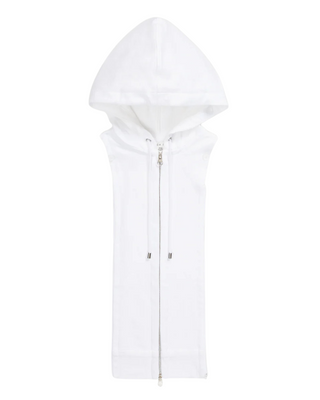 HOODIE DICKEY