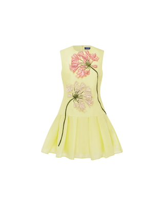 PETRA APPLIQUE MINI DRESS